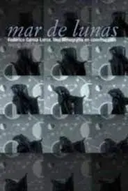 Mar de Lunas