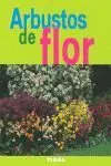 Arbustos de Flor