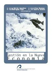 Gestión en la Nueva Economía