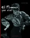 El Flamenco que Viví