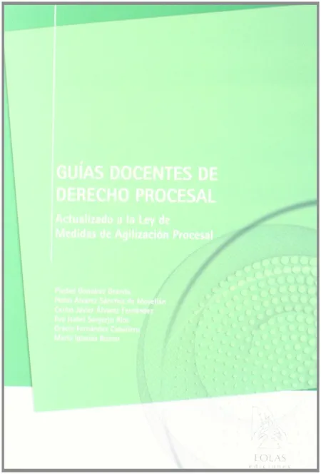 Guias Docentes de Derecho Procesal. Actualizado a la Ley de Medidas de Agilizaic