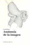 ANATOMÍA DE LA IMAGEN