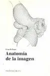 Anatomía de la Imagen