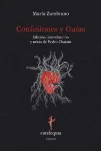 Confesiones y Guías