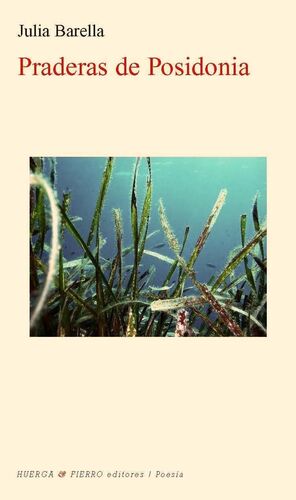 PRADERAS DE POSIDONIA.     POESIA