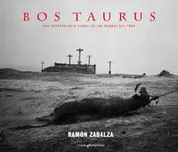 Bos Taurus