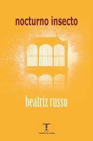 NOCTURNO INSECTO