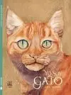 Yo Soy Gato