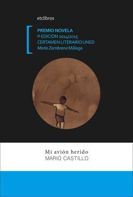 MI AVIÓN HERIDO
