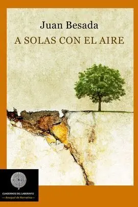 A Solas con el Aire