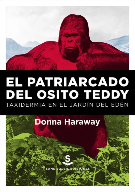 El Patriarcado del Osito Teddy