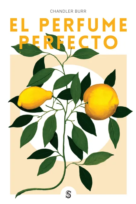 El Perfume Perfecto