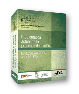 PROBLEMÁTICA ACTUAL DE LOS PROCESOS DE FAMILIA. ESPECIAL ATENCIÓN A LA PRUEBA