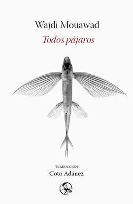Todos Pajaros