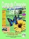 Curso de Creación Gráfica