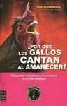 ¿Por qué los Gallos Cantan Al Amanecer?