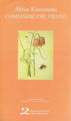 COMPAÑERO DEL VIENTO