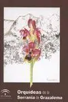Orquídeas de la Serranía de Grazalema