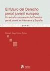 EL FUTURO DEL DERECHO PENAL JUVENIL EUROPEO