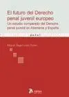 El Futuro del Derecho Penal Juvenil Europeo