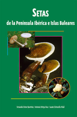 SETAS DE LA PENINSULA IBERICA E ISLAS BALEARES
