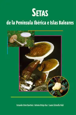 Setas de la Peninsula Iberica e Islas Baleares