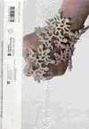 Foreign Bodies