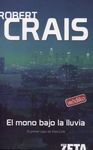 EL MONO BAJO LA LLUVIA