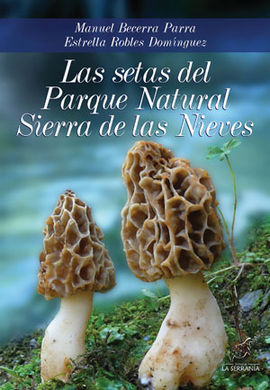 LAS SETAS DEL PARQUE NATURAL SIERRA DE LAS NIEVES