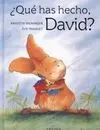 Qué Has Hecho, David?