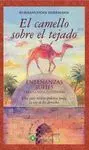 El Camello Sobre el Tejado