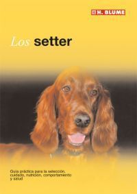 LOS SETTER