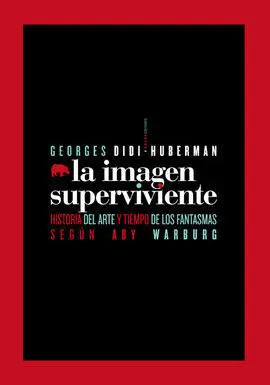 La Imagén Superviviente