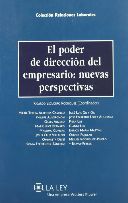 El Poder de Dirección del Empresario. Nuevas Perspectivas