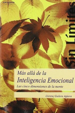 MÁS ALLÁ DE LA INTELIGENCIA EMOCIONAL