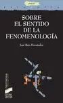 Sobre el Sentido de la Fenomenología