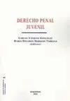 Derecho Penal Juvenil
