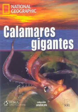 Calamares Gigantes Dvd