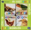 MY FIRST BOOKS, MY FIRST WORDS