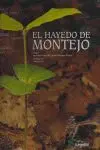 El Hayedo de Montejo
