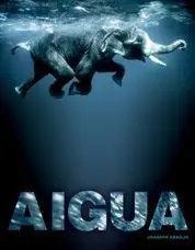 Aigua