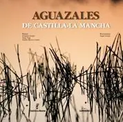 Artes y Civilizaciones