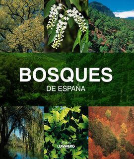 BOSQUES DE ESPAÑA