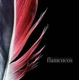 Flamencos