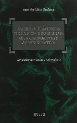 Aspectos Prácticos de la Responsabilidad Civil, Mercantil y Administrativa