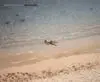 En la Playa