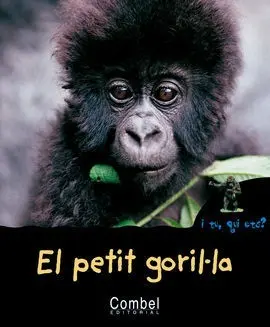 Petit Gorila