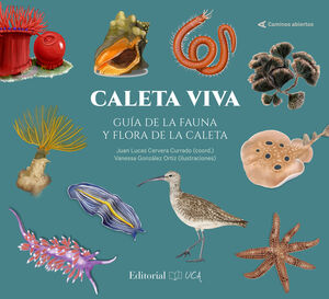 CALETA VIVA GUIA DE LA FAUNA Y FLORA DE LA CALETA