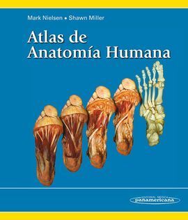 ATLAS DE LA ANATOMIA HUMANA