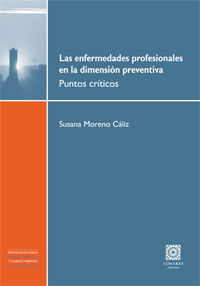 LAS ENFERMEDADES PROFESIONALES EN LA DIMENSIÓN PREVENTIVA